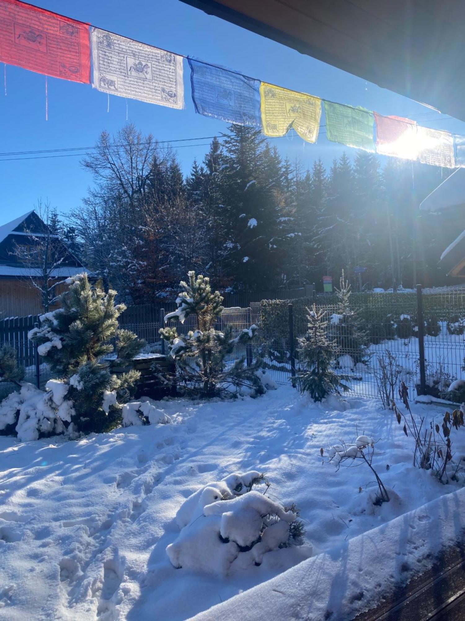 Punkt Koscielisko, Dom Gorski 800 M Od Doliny Koscieliskiej Buitenkant foto